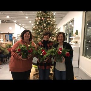 Meet your Posher, Molly